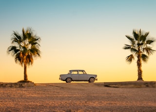 white and black car on brown sand during daytime