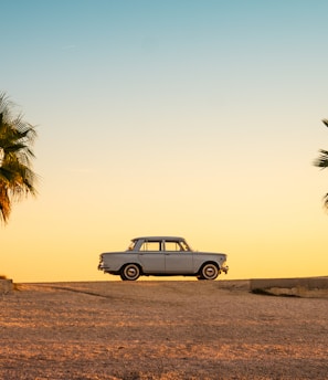 white and black car on brown sand during daytime