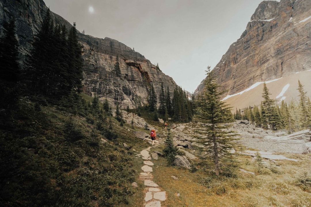 Mountain pass photo spot Lake O'Hara Canada