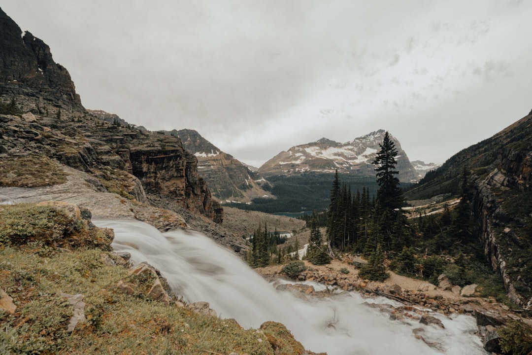 Highland photo spot Lake O'Hara Improvement District No. 9