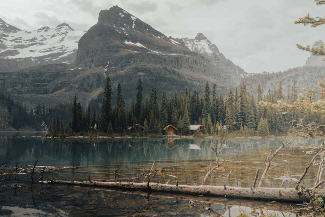 Mountain range photo spot Lake O'Hara Moraine Lake Lodge