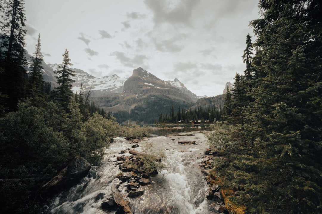 Mountain river photo spot Lake O'Hara Yoho National Park Of Canada