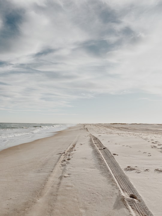 brown sand near sea under white clouds during daytime in Assateague Island United States