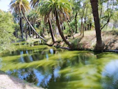 A serene Mérida landscape blending nature with wellness, reflecting holistic health.