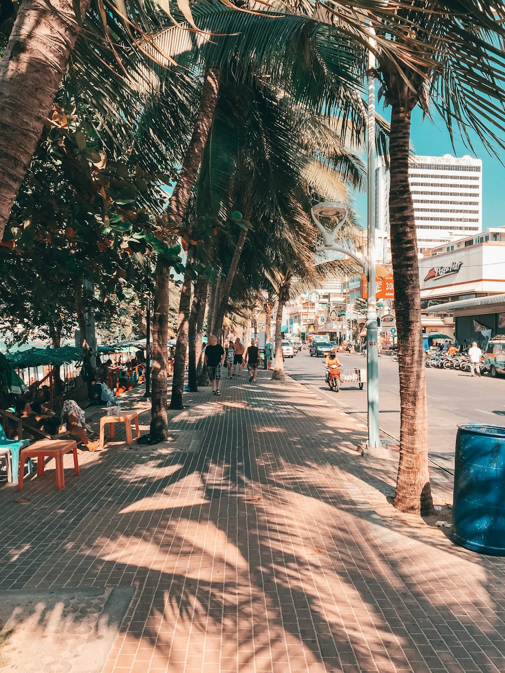 people sitting on brown wooden chairs near green palm tree during daytime