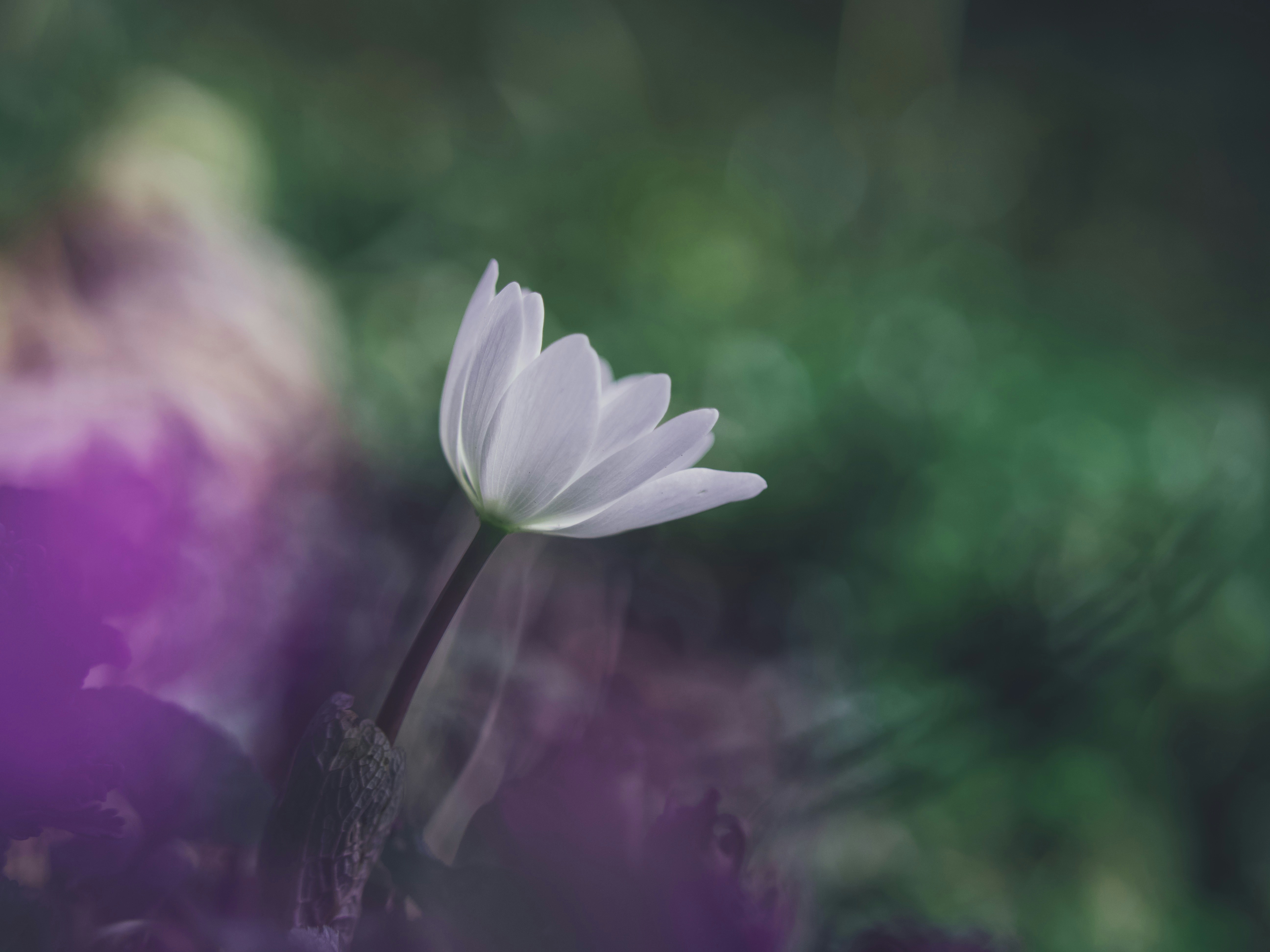 Photo by aaronburden