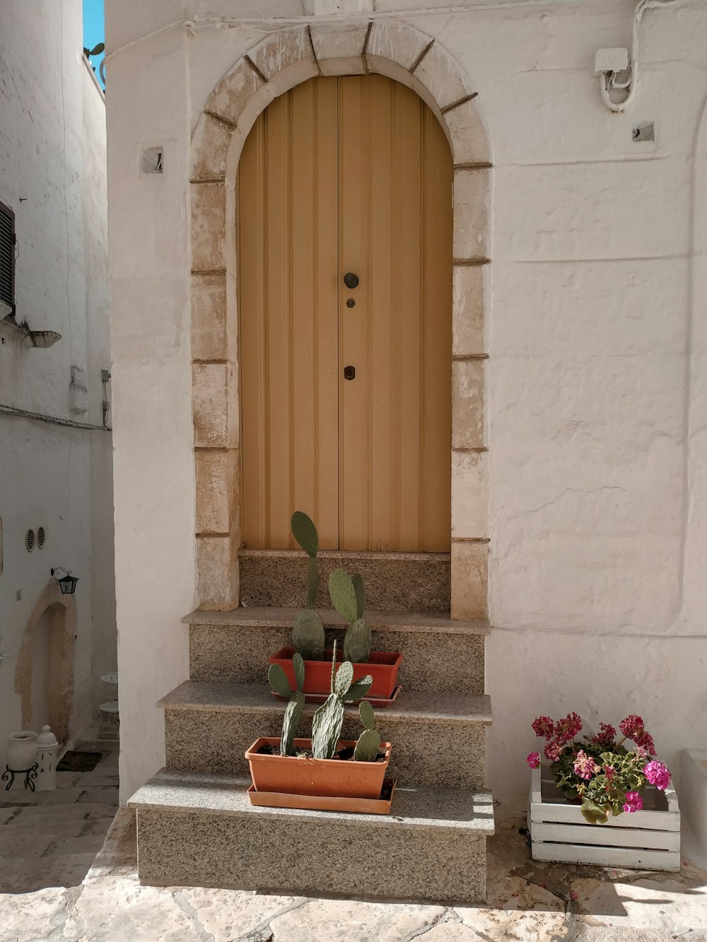 brown wooden door beside pink and white flowers