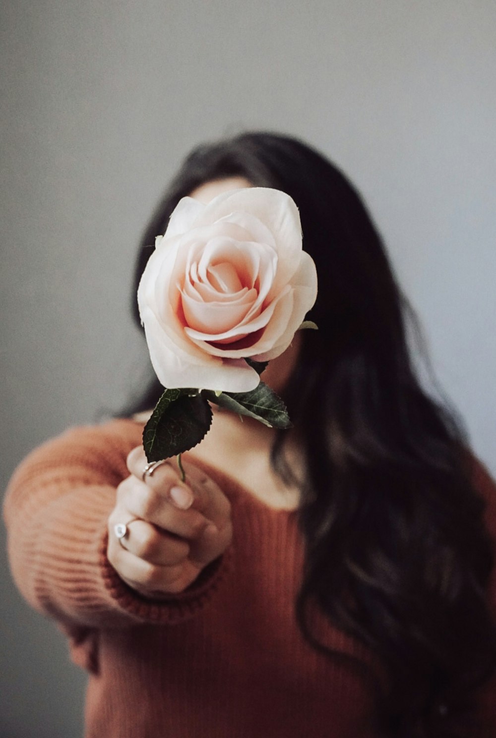 woman in orange sweater holding white rose