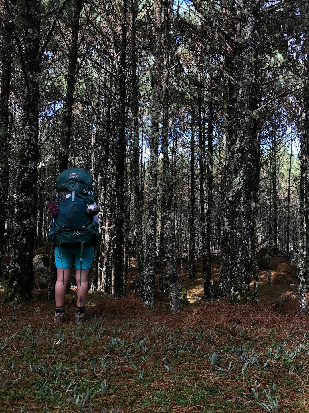 travelers stories about Natural landscape in Quiché, Guatemala