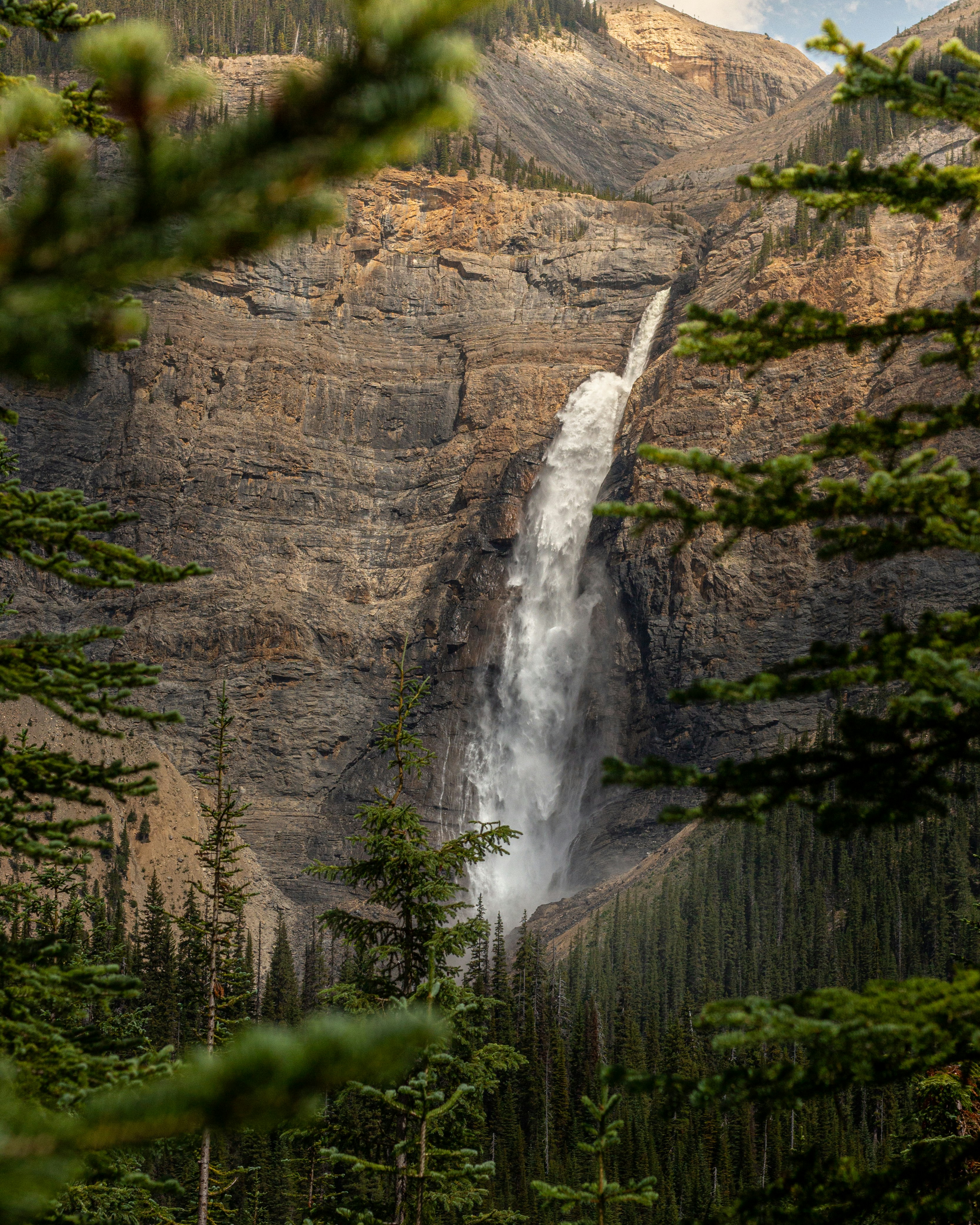 waterfalls in the middle of the forest