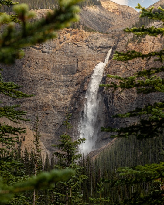 waterfalls in the middle of the forest in Yoho National Park Canada