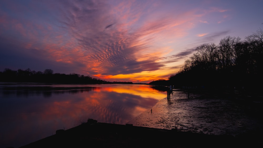 silhouette of trees near body of water during sunset