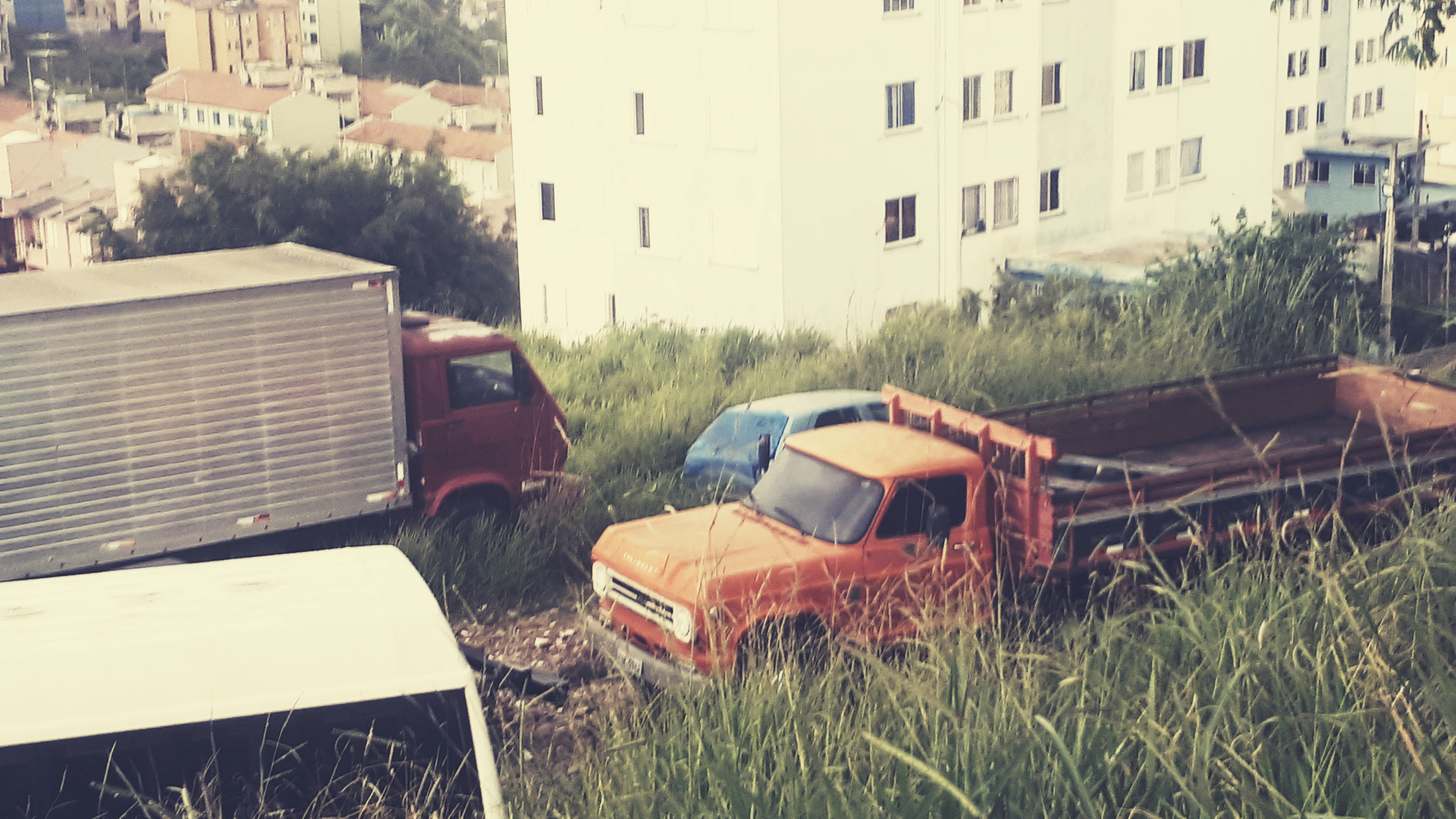 Stasis Is Not an Option