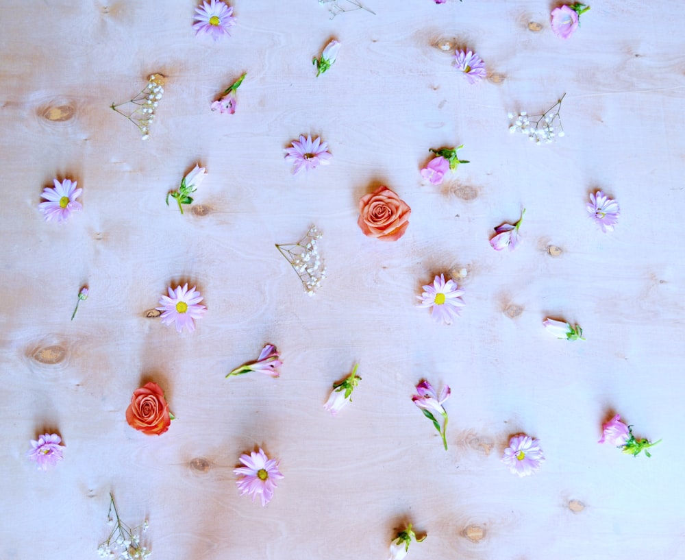 white green and red floral textile