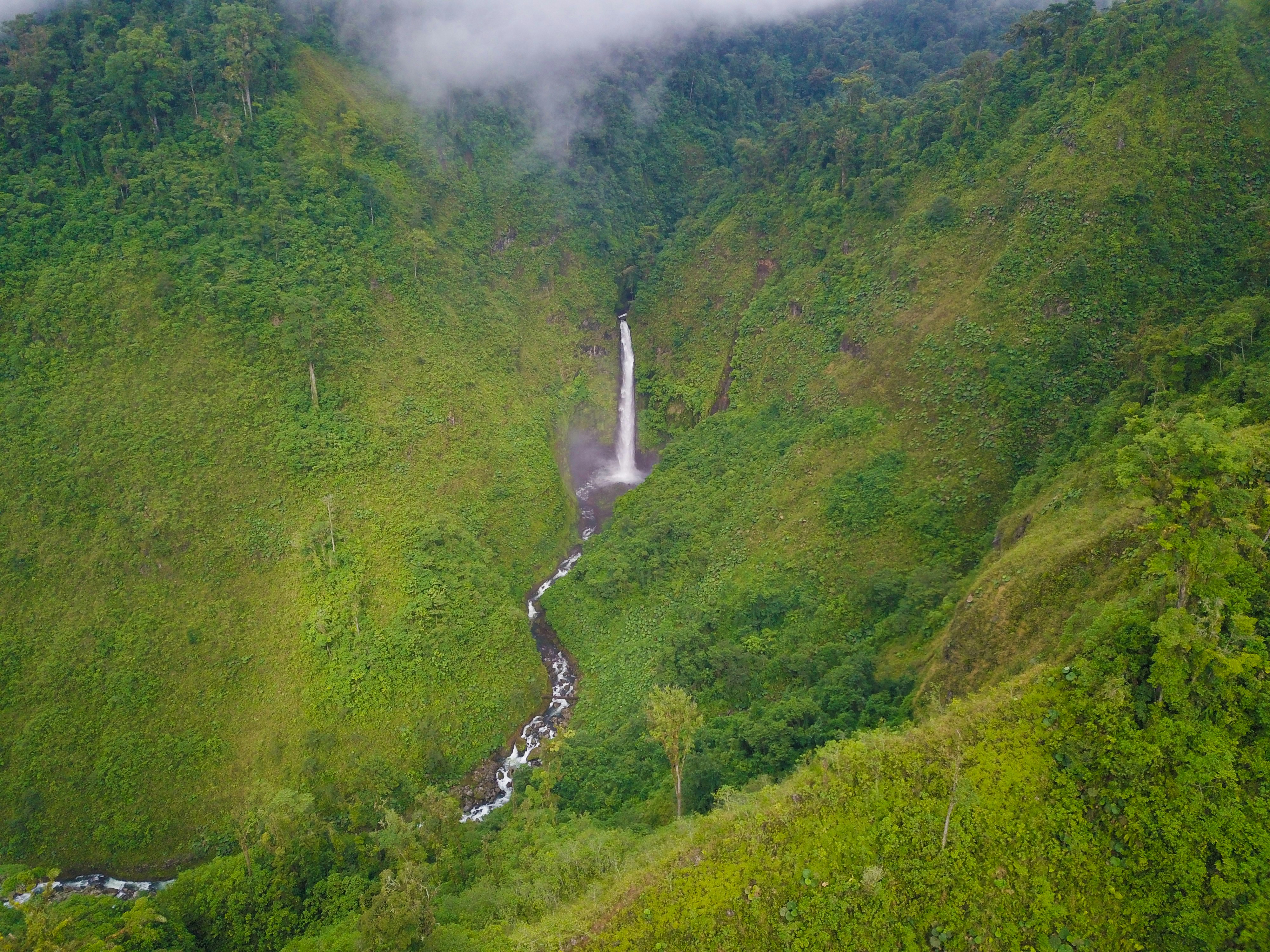 green grass field and waterfalls