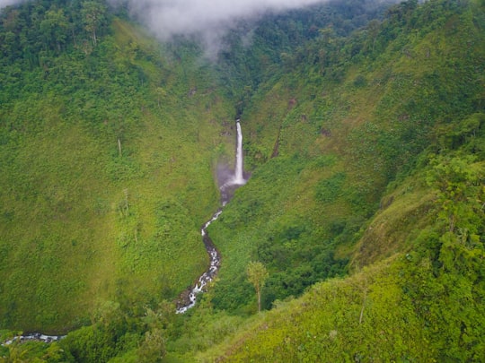 green grass field and waterfalls in Alajuela Costa Rica