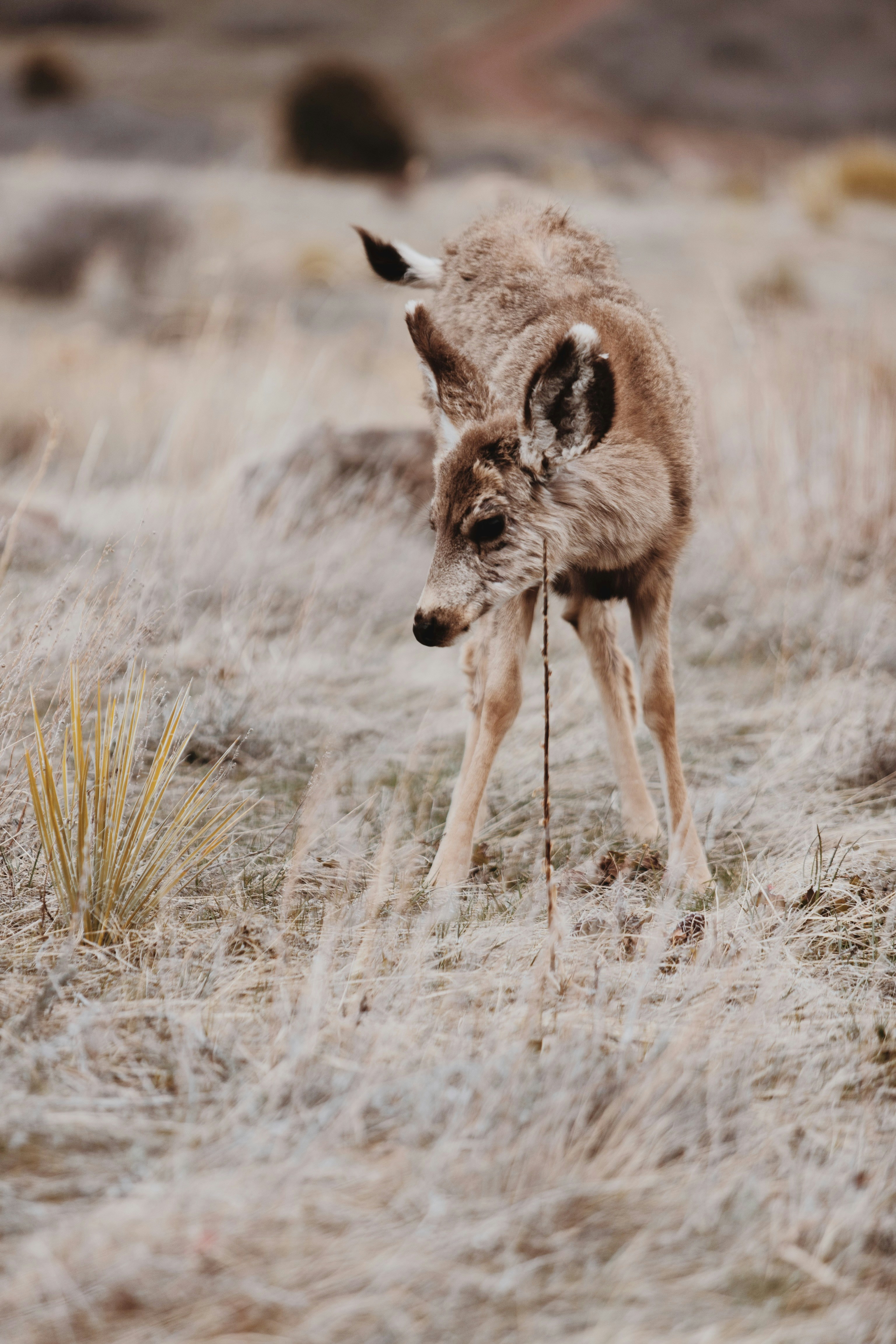 Photo by lgnwvr