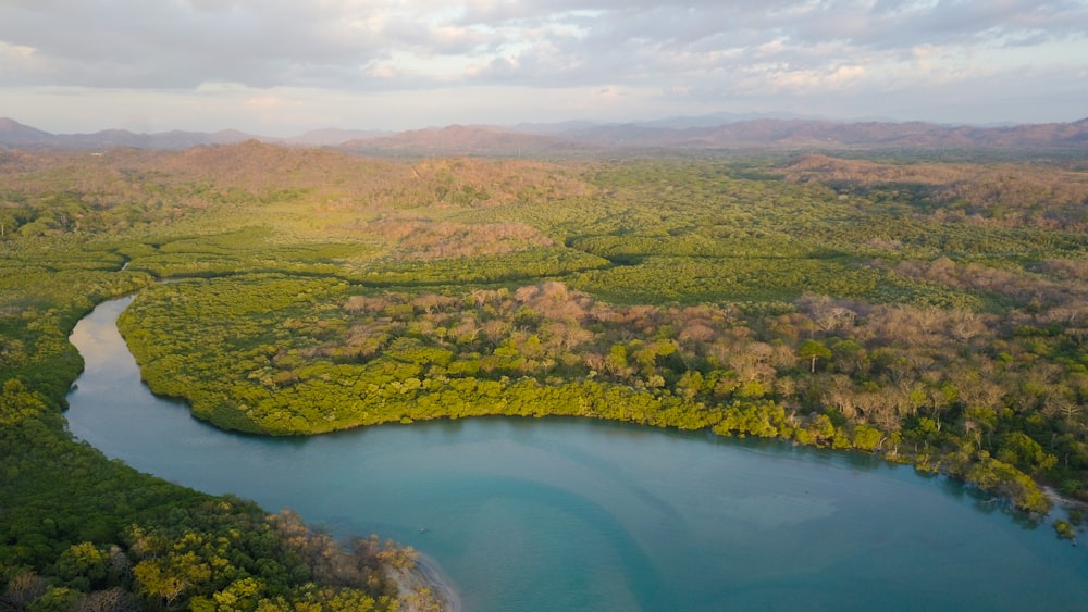 green trees and lake under blue sky during daytime