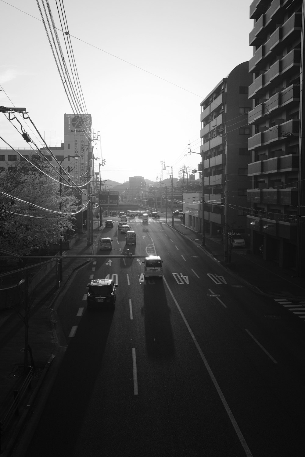 grayscale photo of cars on road