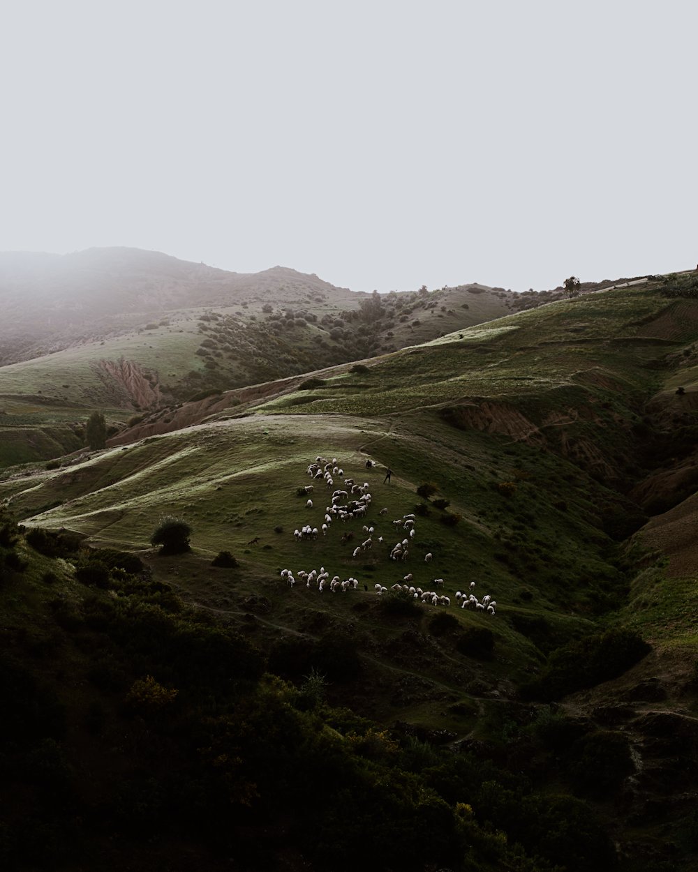 green mountains under white sky during daytime