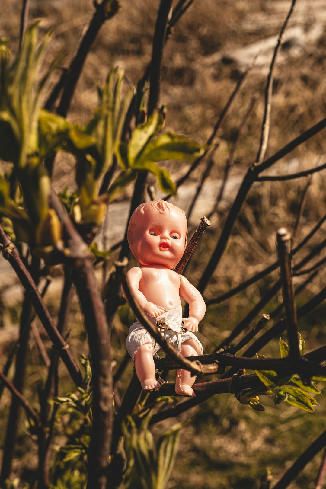 baby doll on black metal fence