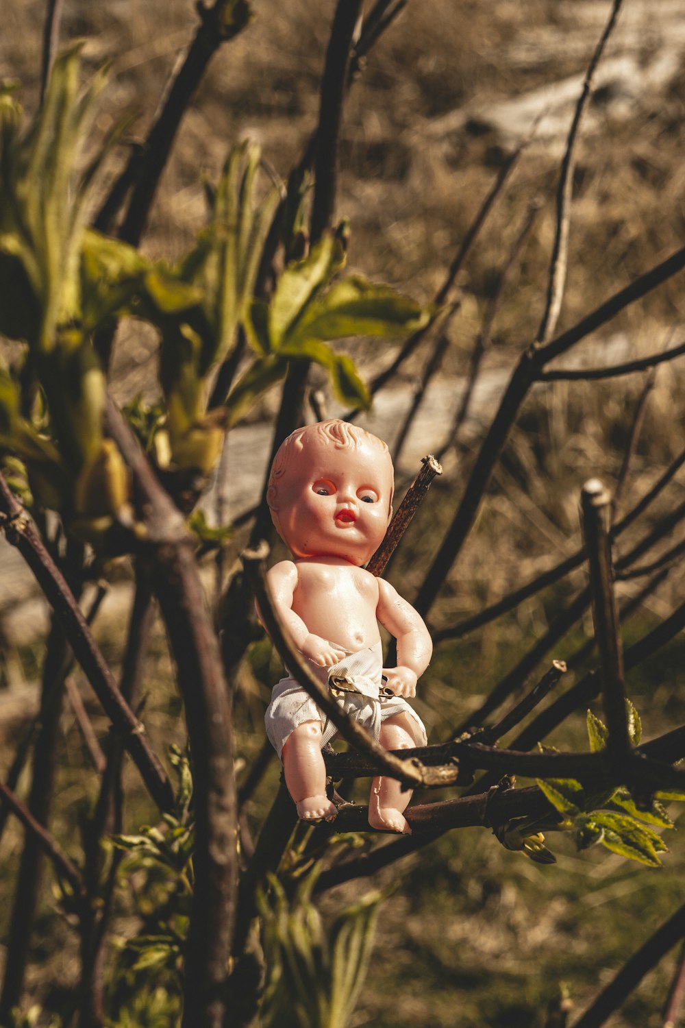 baby doll on black metal fence