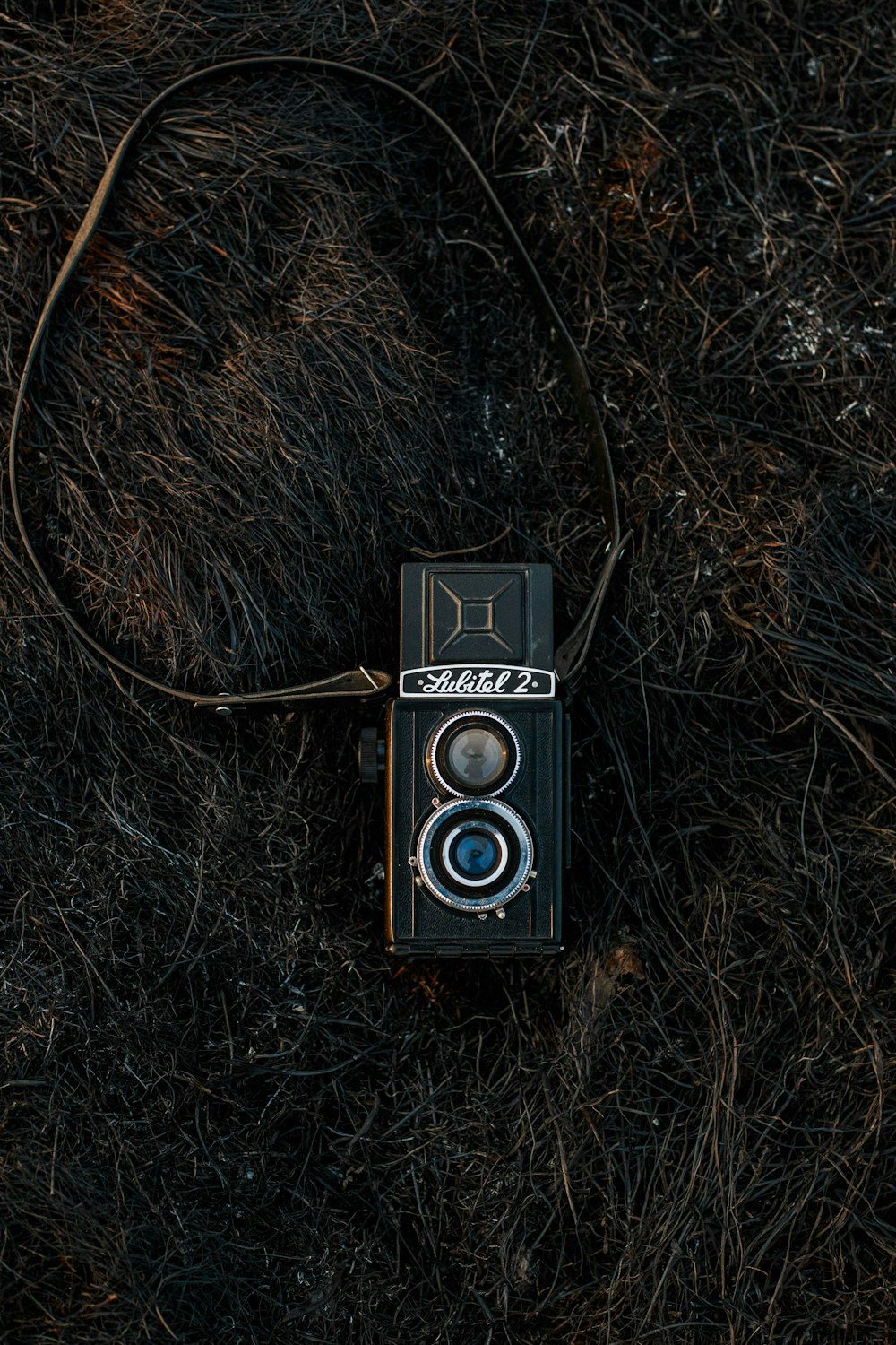 black and silver camera on brown grass