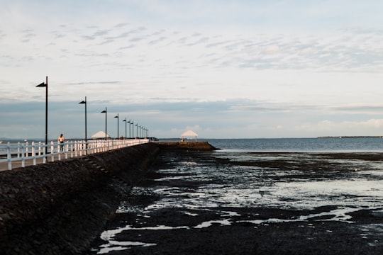 brown wooden dock on sea during daytime in Wynnum QLD Australia