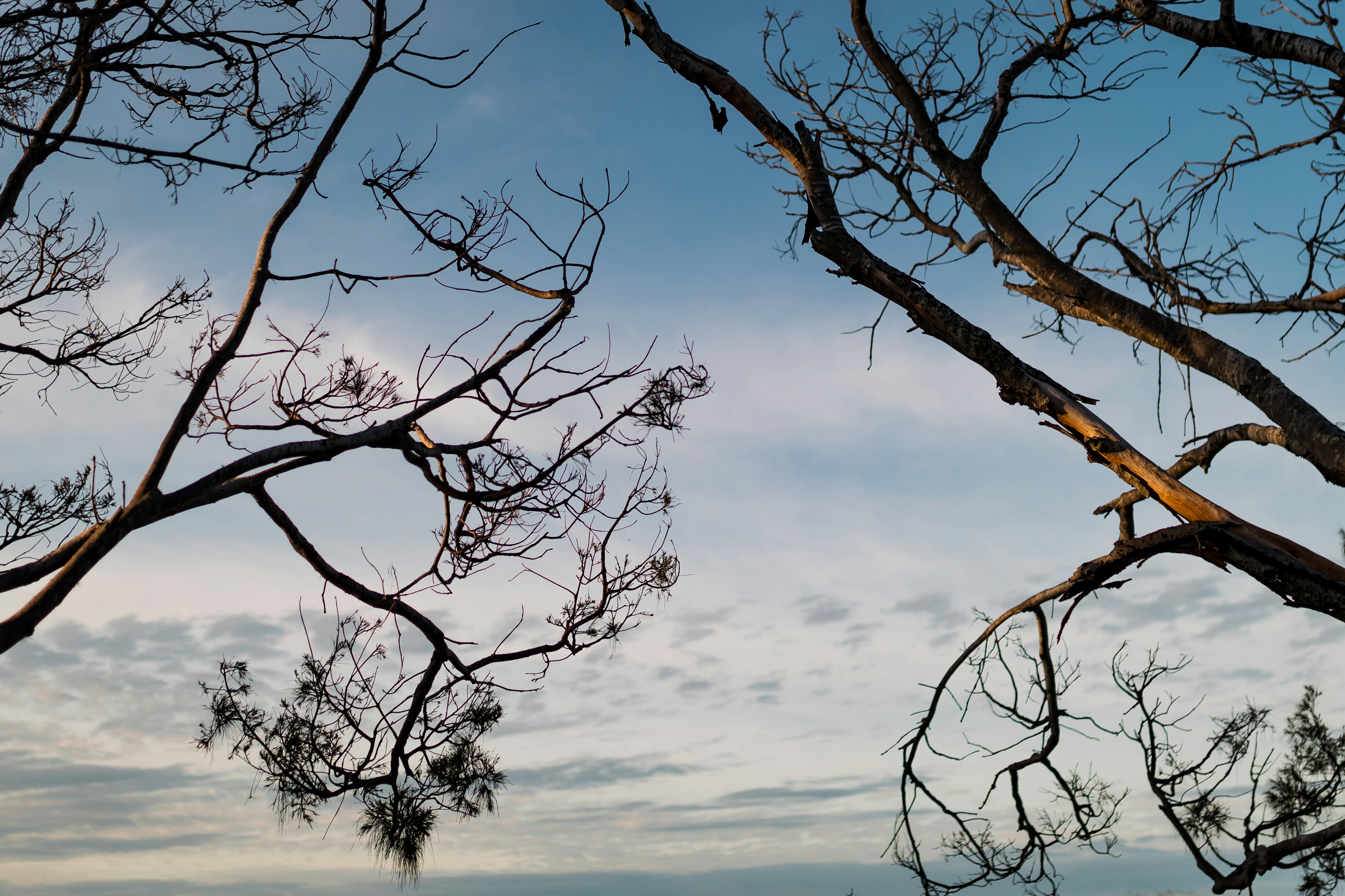 Photo by timjohnblake