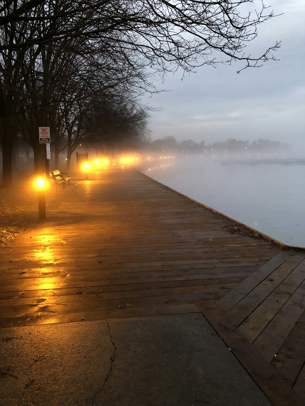 brown wooden dock near bare trees during daytime