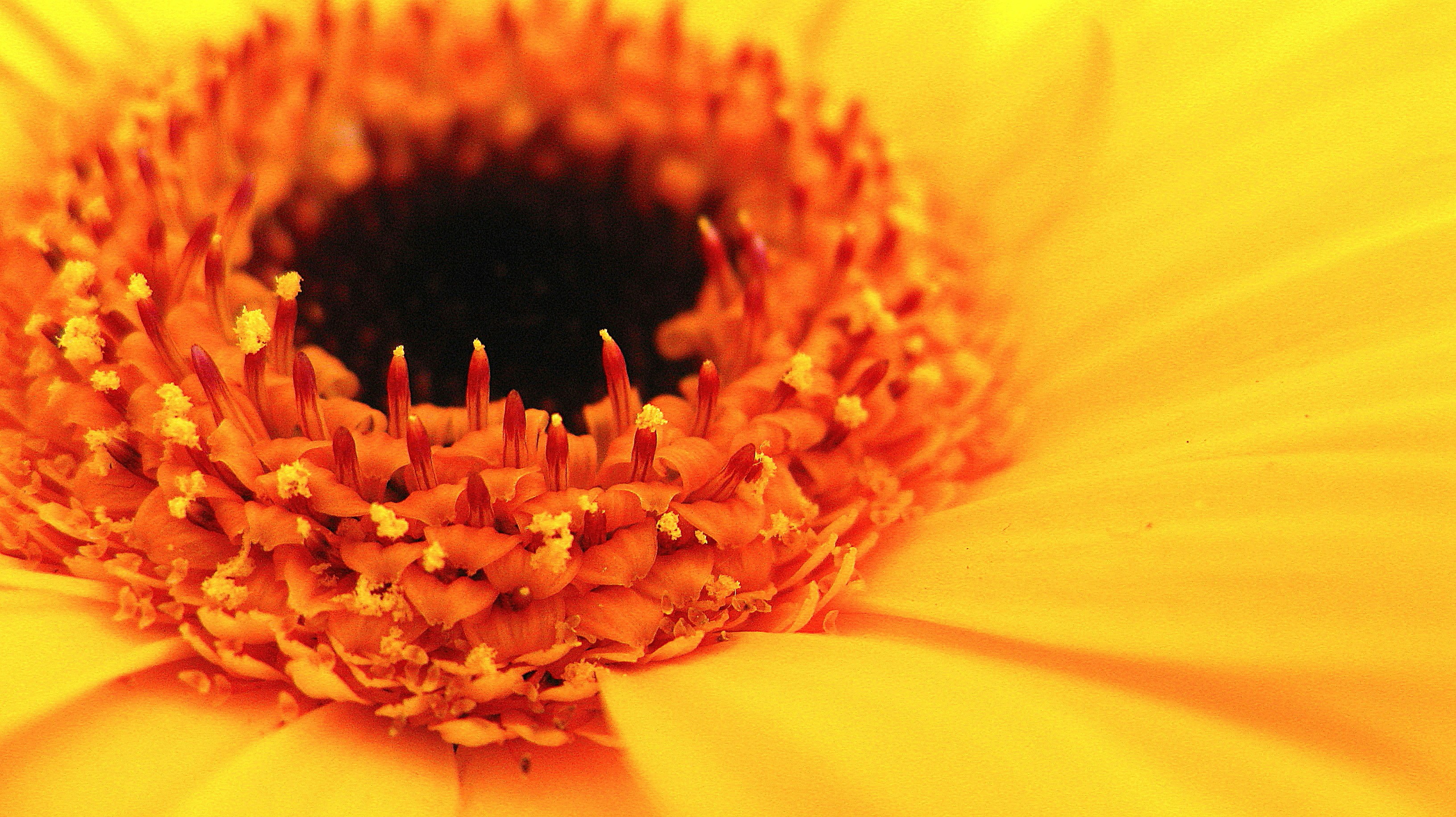 Photo by arozwadowska