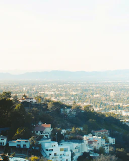 Panoramic view of the San Carlos landscape with homes nestled among lush greenery.