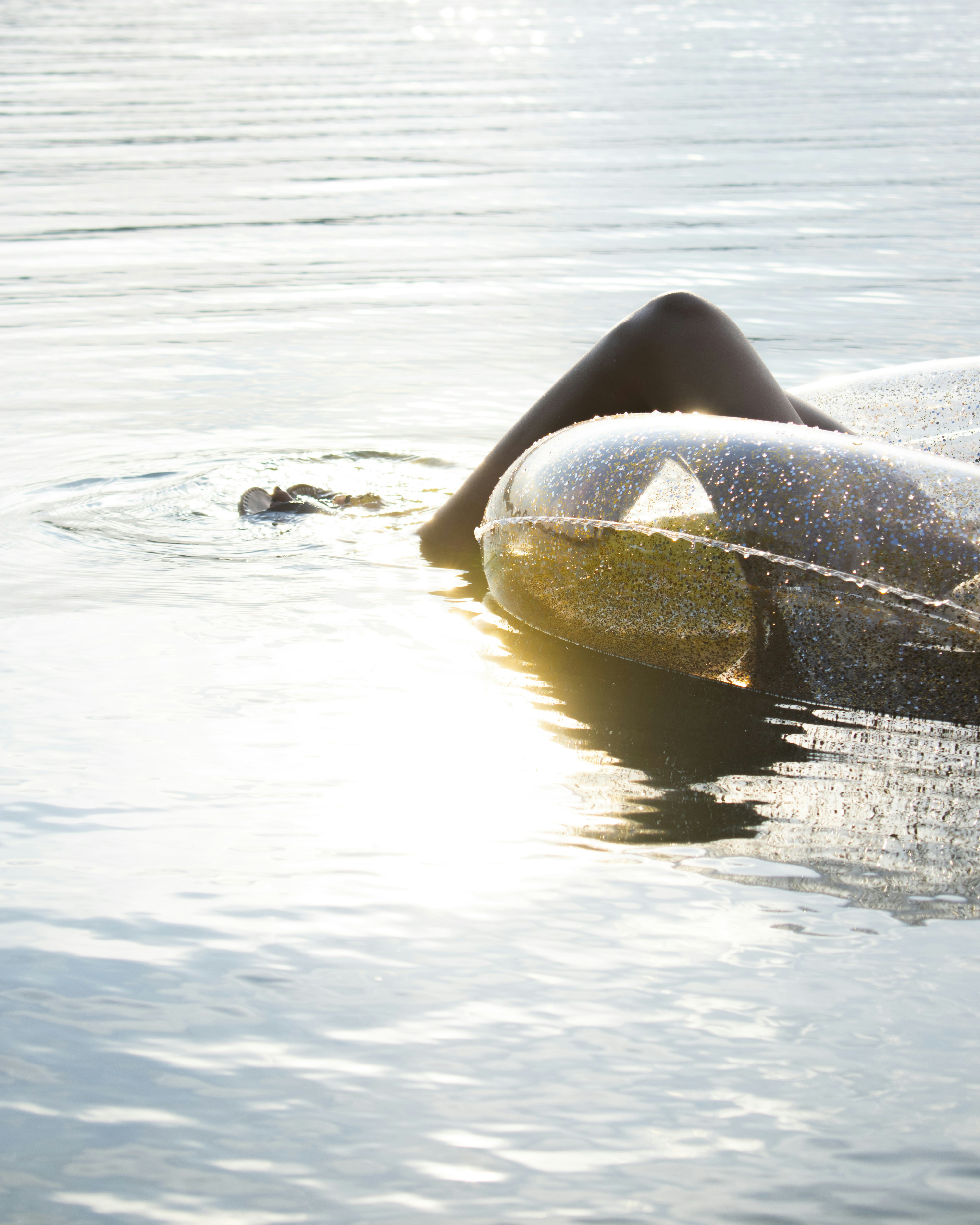 Photo by jphotomedia