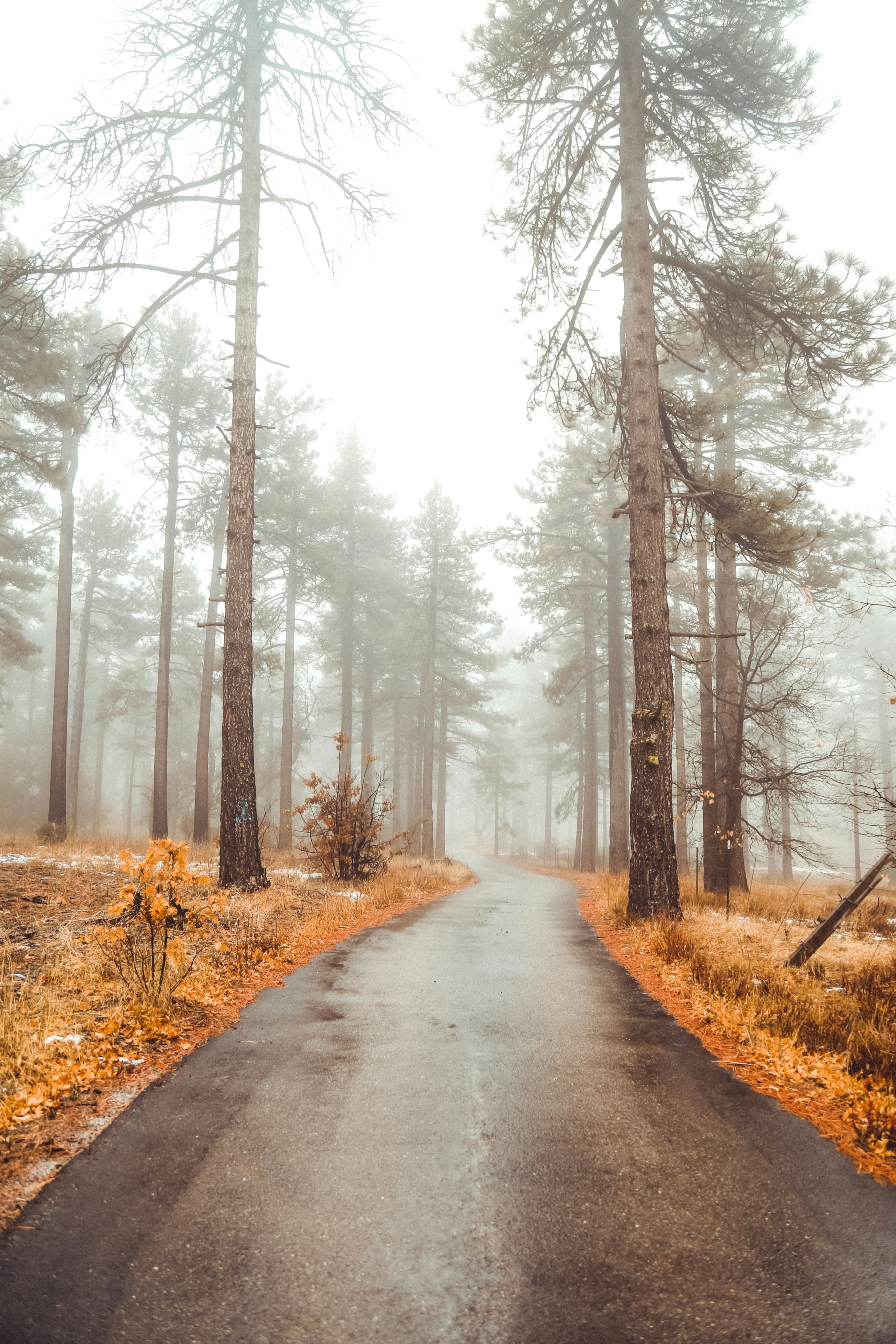 Photo by victorthe_dude1