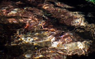 Light reflects off the surface of water, creating a shimmering pattern of colors and textures. The interplay of shadows and light gives the scene an abstract and fluid appearance, with hints of earthy tones beneath the surface.