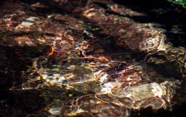 Light reflects off the surface of water, creating a shimmering pattern of colors and textures. The interplay of shadows and light gives the scene an abstract and fluid appearance, with hints of earthy tones beneath the surface.