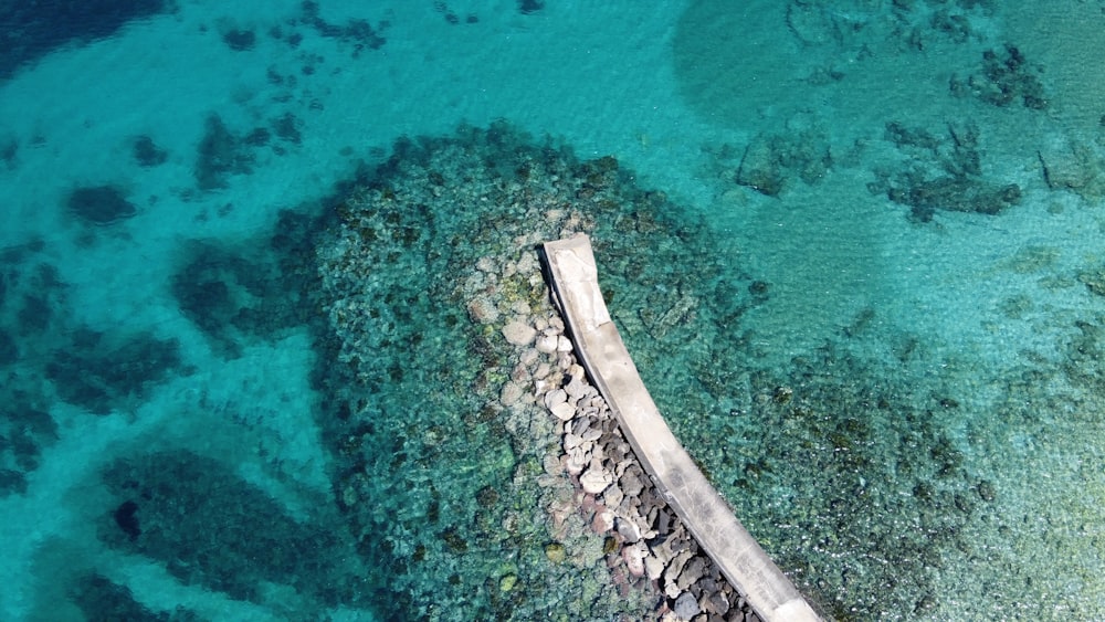 aerial view of green trees and body of water during daytime