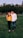 man in white dress shirt and woman in brown long sleeve shirt standing on green grass