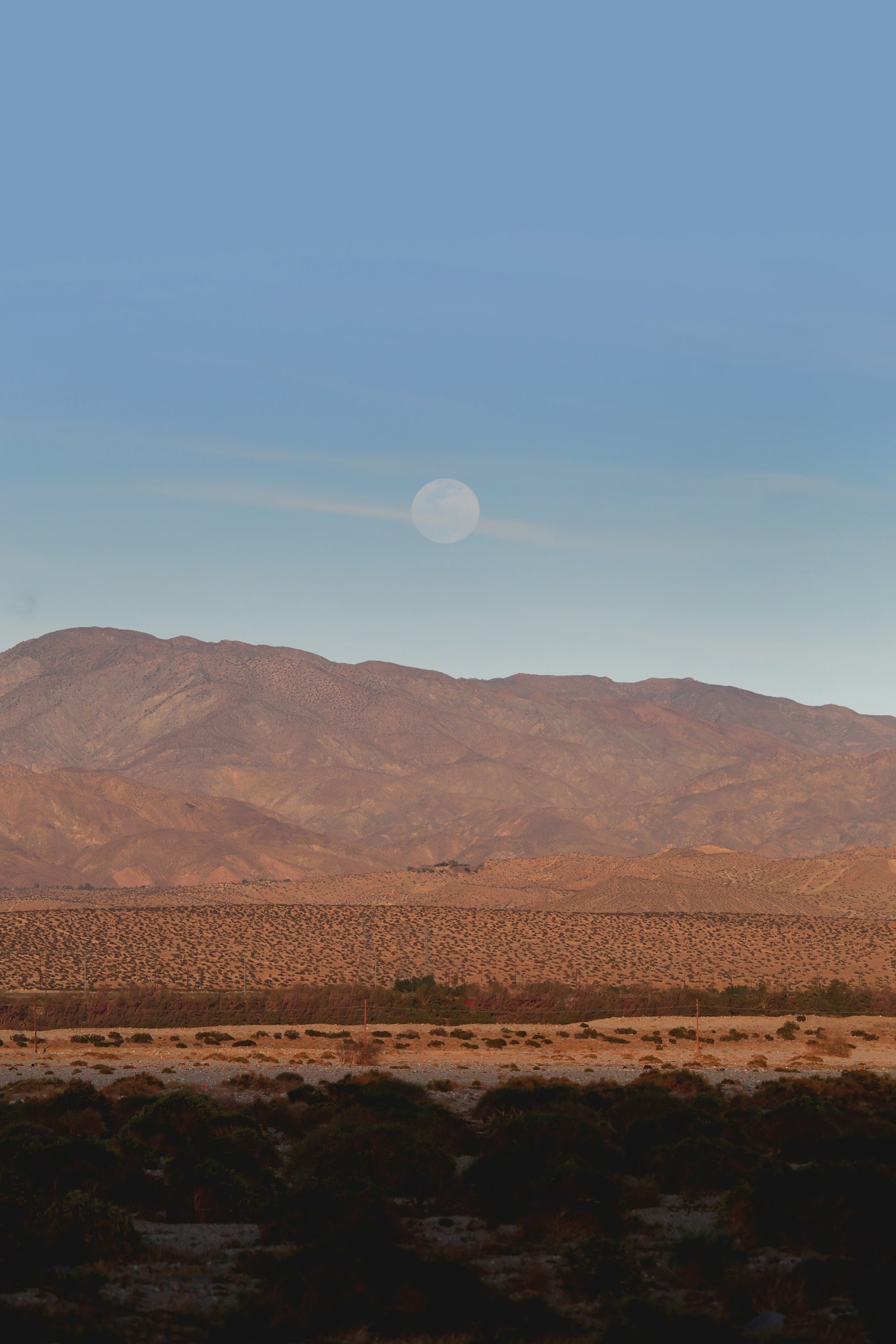 Hotels in Palm Springs under $150
