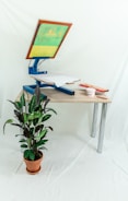 A screen printing setup on a table with a screen printing frame angled upward. A piece of white fabric is laid on the table, ready for printing. Next to the screen printing apparatus is a container of ink and a wooden squeegee. In the foreground, there is a potted plant with dark green leaves, set against a light background.