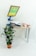 A screen printing setup on a table with a screen printing frame angled upward. A piece of white fabric is laid on the table, ready for printing. Next to the screen printing apparatus is a container of ink and a wooden squeegee. In the foreground, there is a potted plant with dark green leaves, set against a light background.