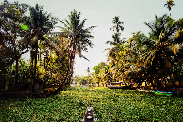 Best Budget Hostels