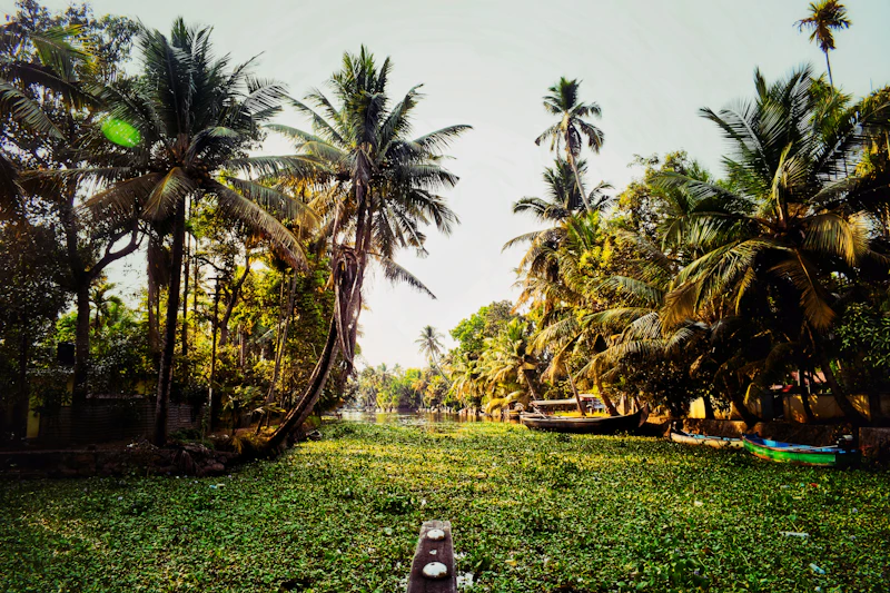 Best Budget Hostels in Alleppey That Are Actually Worth Staying In