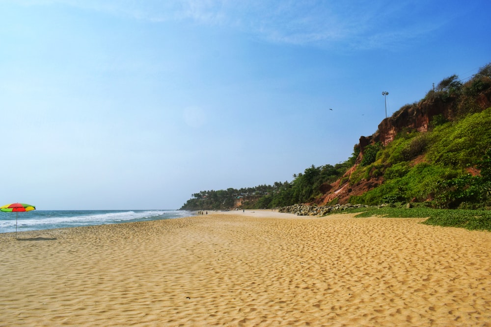 brown sand beach during daytime