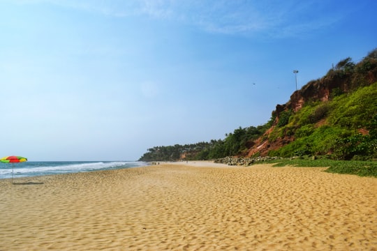brown sand beach during daytime in Varkala India