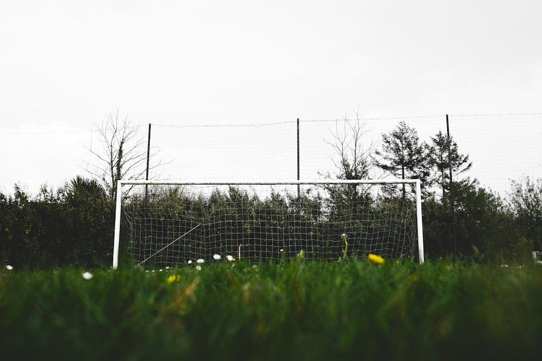 black metal fence on green grass field during daytime