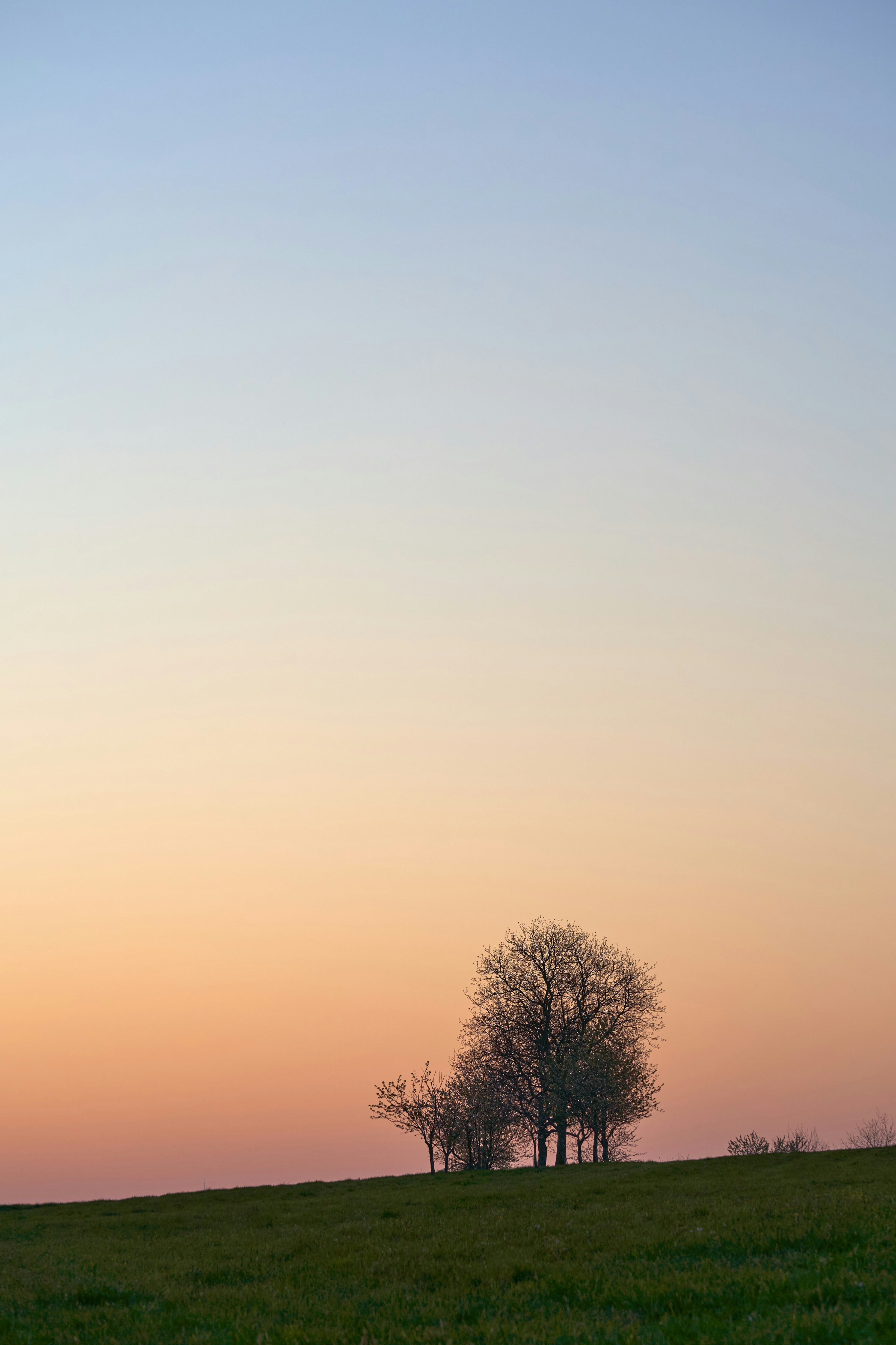 Photo by wolfgang_hasselmann