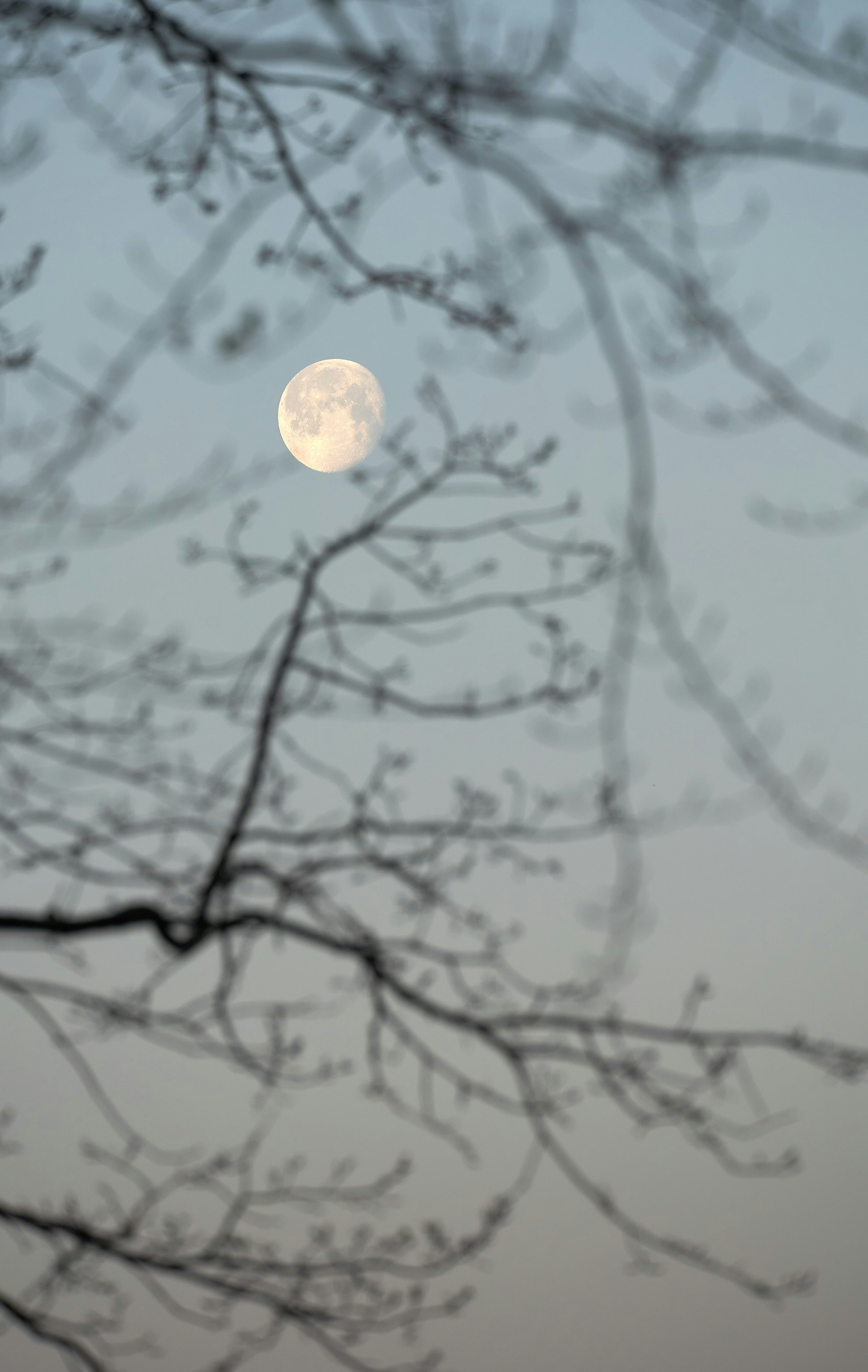 Photo by wolfgang_hasselmann