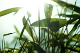 Soft folds of bamboo fiber fabric catching sunlight in a cozy setting.