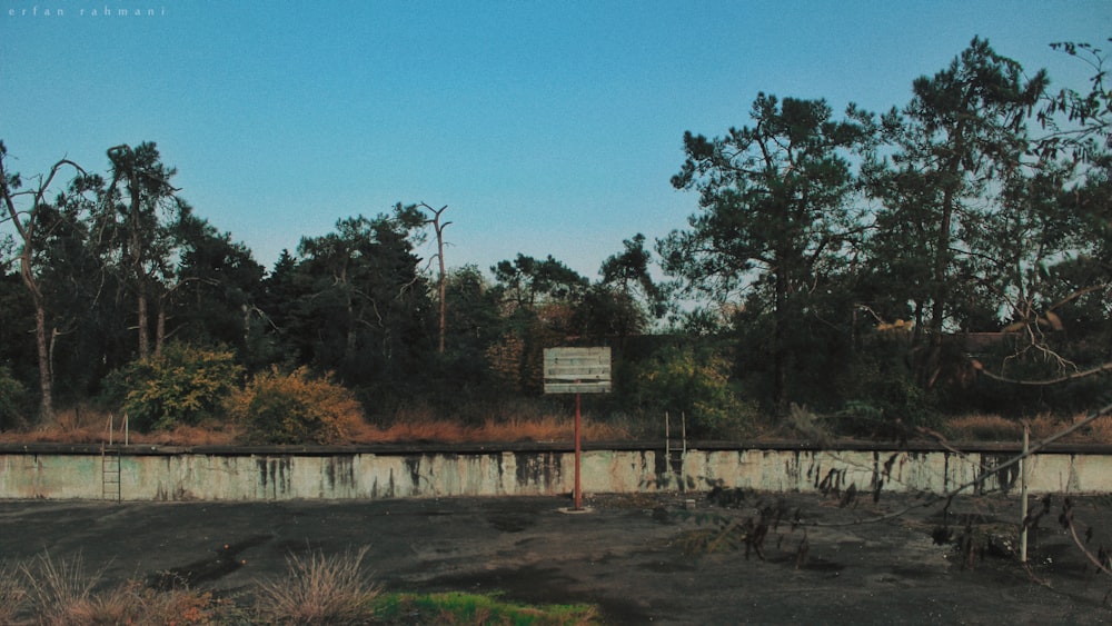 green trees beside gray concrete wall